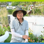 송군호