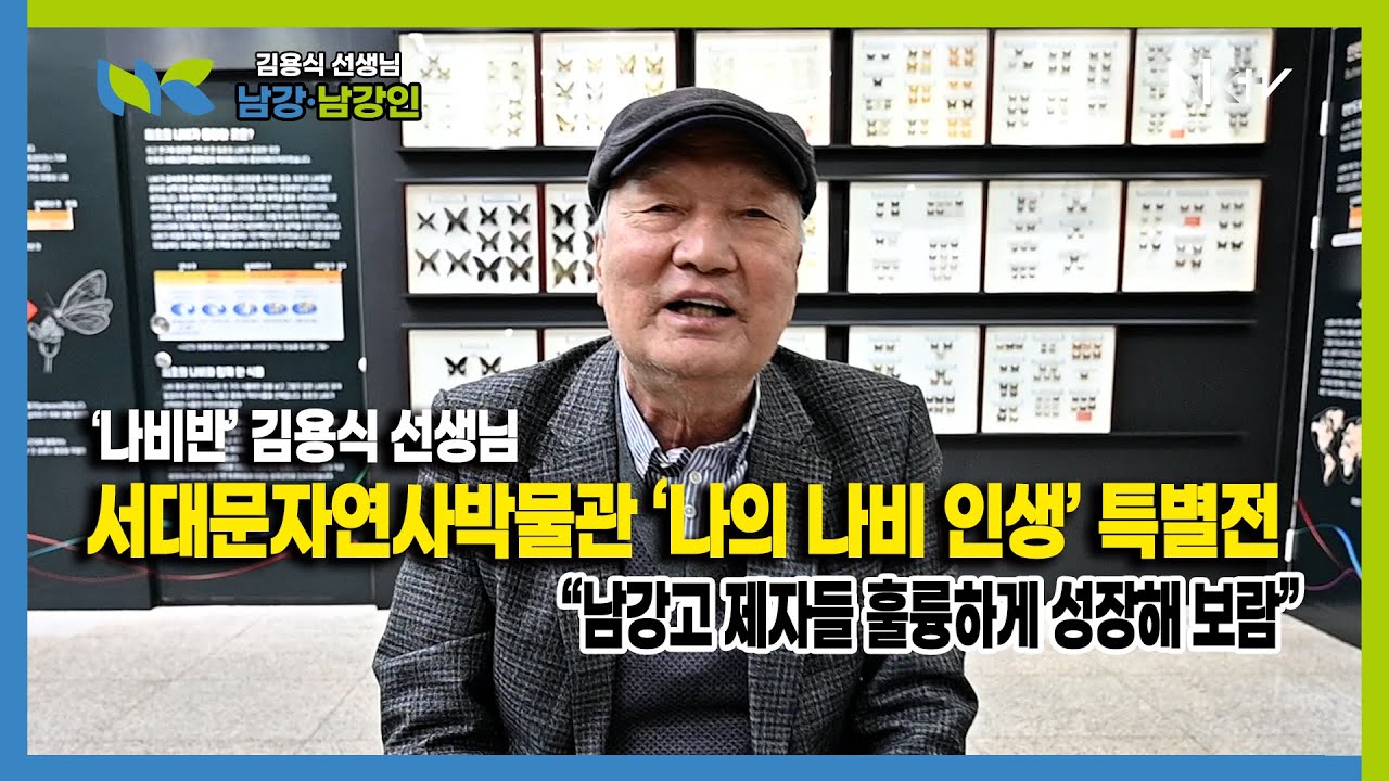 ‘나비반’ 김용식 선생님, 서대문자연사박물관 ‘나의 나비 인생’ 특별전, 평생 수집한 239종 958마리 기증…정종철 서대문자연사박물관 학예팀장 인터뷰